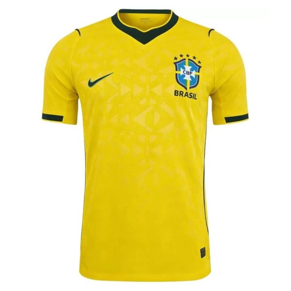 BRAZİLYA İÇ SAHA FORMASI